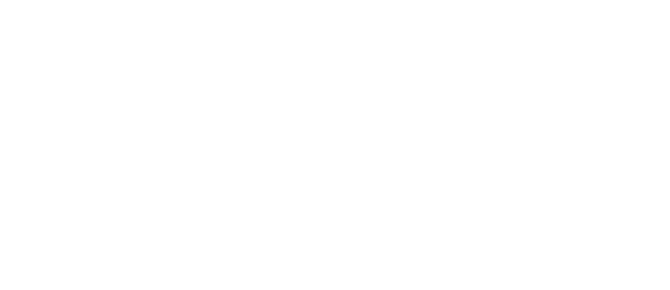 vulcan capital